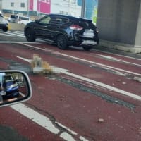道路にコンクリート塊が落ちていた