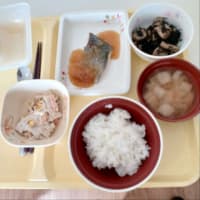 今日のお昼