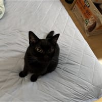 いくら呼ばれても・・・（苦笑