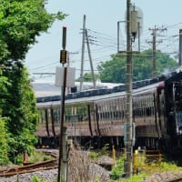 秩父と東松山のやきとん（2025.6.22撮影）