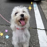 春の旅は無事に終わりましたね