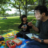 吹上浜砂の祭典＆吹上浜海浜公園