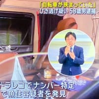 宮城で男が大型トレーラーでチャリを轢き逃げ