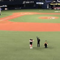 2024年　オリックス　宗の勝ち越しホームランで西武に連勝　（京セラドーム大阪）