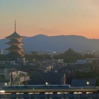 もうすぐ活動再開します、ただし控えめ