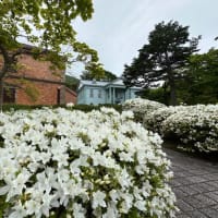 青森・函館の休日〜4