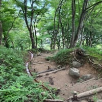 飯盛山登る〜香嵐渓