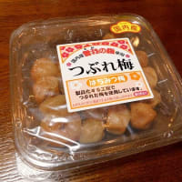 #7119 つぶれ梅で(^○^)('20早春 伊豆家族旅行_18)