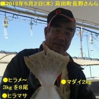 【大物釣果速報】ヒラマサ・マダイ・ヒラメ釣り５/１(水)～５/１０(金)