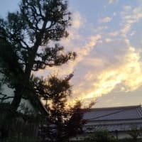 先週は雨がよく振ったな～