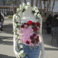 １００万本のバラの街・福山市・・・来年は世界バラ会議が開催されます　薔薇でまち起こしに取り組む福山市