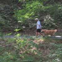 蓼科だより２　１年留守にすると色々トラブル発生