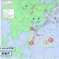 今朝の御宿　　24//09/15