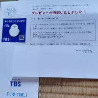 シマエナガ