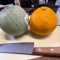 大きな甘夏､小さなメロン¿？
