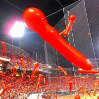 野球観戦とかき氷