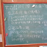 20241027ダイビングログ