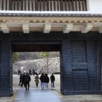 大阪城公園（２０２５年３月７日）