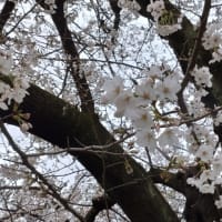 早いもので