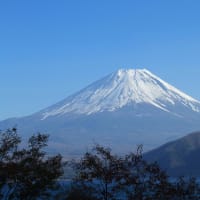 秋の富士山