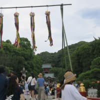 鎌倉散歩～鶴岡八幡宮・源平池・小町通り