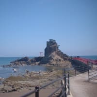 海
