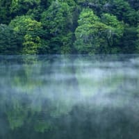 新緑の室生湖