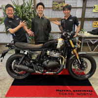 猛獣だってOwnerには従順です！ROYAL ENFIELDスクランブラー！ BEAR650 Mid Golden Shadow は何処へだってお連れします！