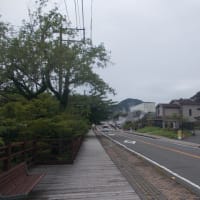 九州北部、梅雨入りしました。