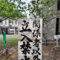 北大祭