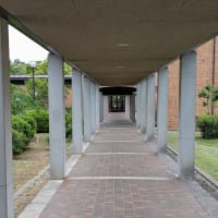 今朝の散歩