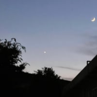 相変わらず