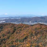 足利・紅葉の大坊山から山頂番屋まで