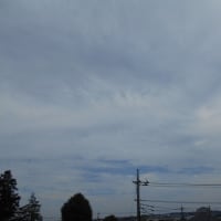 梅雨の晴れ間になるのかな～？ (-＿-)ｳｰﾑ　木の靴ベラを買ってきた＾＾