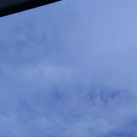 湿度すごい～
