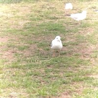 お気に入りのチャンネルです