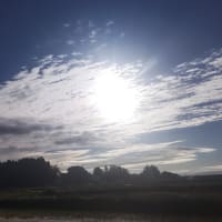 野心的な夢
