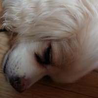 禁煙🚭20日目　今日は☔
