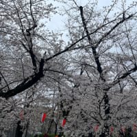 ４月２日なのに寒い
