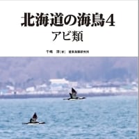 「北海道の海鳥4　アビ類」発刊のお知らせ