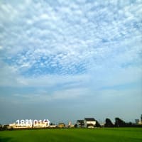7月6日日曜日　
