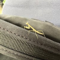 んっ、どこからついて来た？