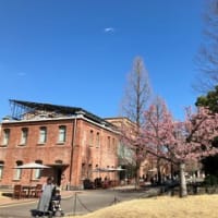 またまた「メーグル」に乗ってきました🚍