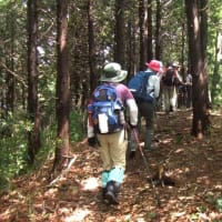 グループわらじ　第614回徒歩定例会「みちのく潮風トレイルⅣ　浜吉田駅～四方山～深山～山下駅」