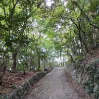 急に暑くなりましたね（福岡市社交ダンススタジオ・ダンススクールライジングスタースタッフより）