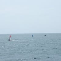 夏の海
