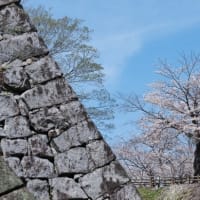 熊本城の春 