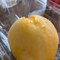  6月22日23日　うどん食べない山中湖 その3   早く目が覚めたら見ることができた　赤富士
