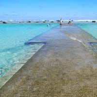 冨岡剛　愛する孫との奄美大島の旅