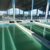 カンボジア政府　水道法を公布　日本が支援